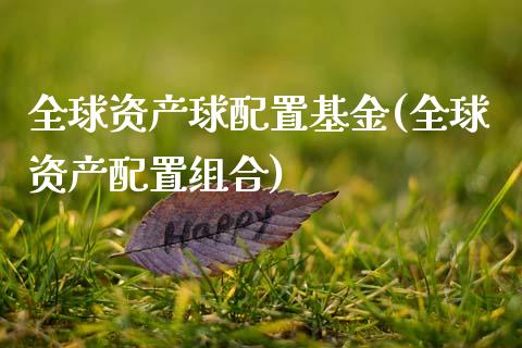 全球资产球配置基金(全球资产配置组合)_https://www.zztgc.com_期货入门_第1张