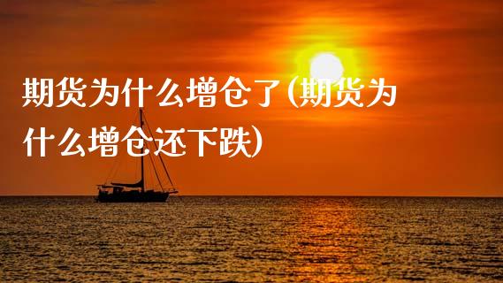 期货为什么增仓了(期货为什么增仓还下跌)_https://www.zztgc.com_黄金期货_第1张