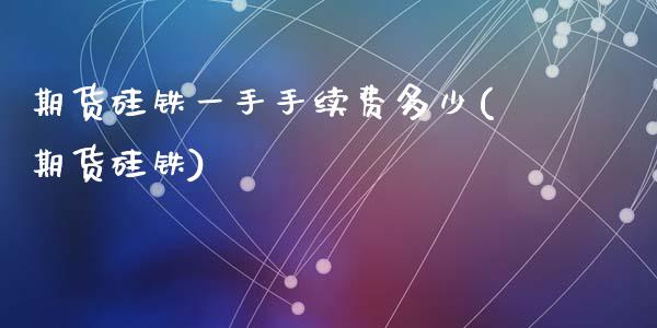 期货硅铁一手手续费多少(期货硅铁)_https://www.zztgc.com_期货入门_第1张