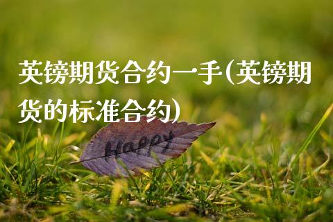 英镑期货合约一手(英镑期货的标准合约)_https://www.zztgc.com_原油期货_第1张