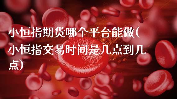 小恒指期货哪个平台能做(小恒指交易时间是几点到几点)_https://www.zztgc.com_期货入门_第1张