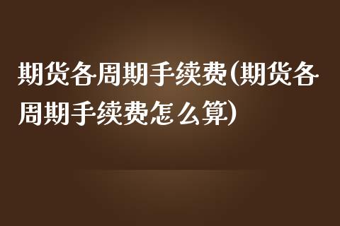 期货各周期手续费(期货各周期手续费怎么算)_https://www.zztgc.com_黄金期货_第1张