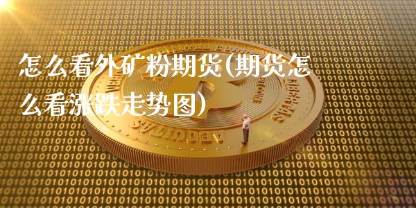 怎么看外矿粉期货(期货怎么看涨跌走势图)_https://www.zztgc.com_期货直播_第1张