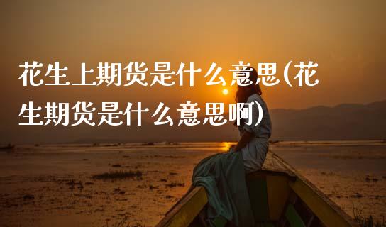 花生上期货是什么意思(花生期货是什么意思啊)_https://www.zztgc.com_原油期货_第1张