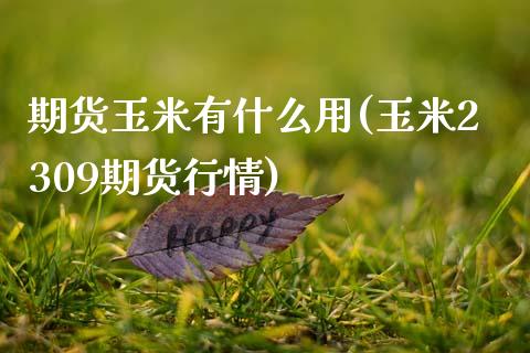 期货玉米有什么用(玉米2309期货行情)_https://www.zztgc.com_黄金期货_第1张