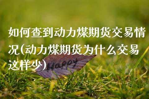 如何查到动力煤期货交易情况(动力煤期货为什么交易这样少)_https://www.zztgc.com_原油期货_第1张