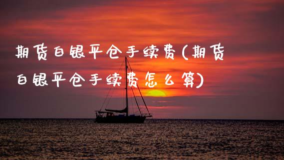 期货白银平仓手续费(期货白银平仓手续费怎么算)_https://www.zztgc.com_期货直播_第1张