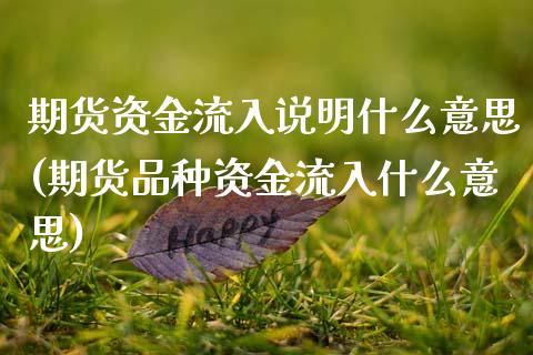 期货资金流入说明什么意思(期货品种资金流入什么意思)_https://www.zztgc.com_期货行情_第1张