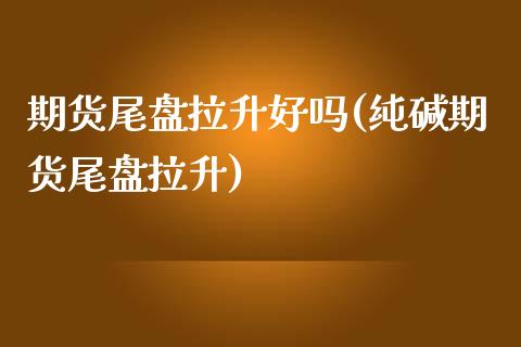 期货尾盘拉升好吗(纯碱期货尾盘拉升)_https://www.zztgc.com_黄金期货_第1张