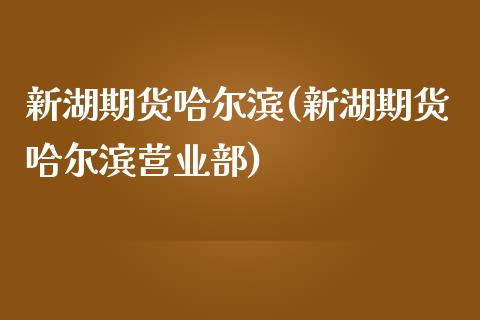 新湖期货哈尔滨(新湖期货哈尔滨营业部)_https://www.zztgc.com_黄金期货_第1张