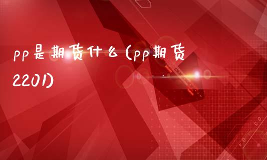 pp是期货什么(pp期货2201)_https://www.zztgc.com_期货开户_第1张