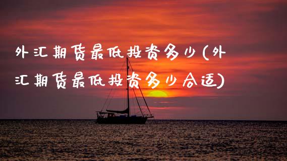 外汇期货最低投资多少(外汇期货最低投资多少合适)_https://www.zztgc.com_期货入门_第1张