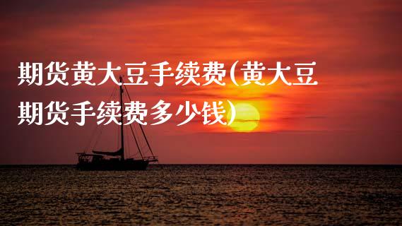期货黄大豆手续费(黄大豆期货手续费多少钱)_https://www.zztgc.com_黄金期货_第1张