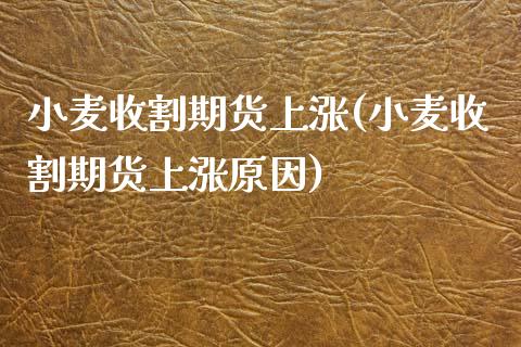 小麦收割期货上涨(小麦收割期货上涨原因)_原油期货_第1张_珍投期货网 小麦收割期货上涨(小麦收割期货上涨原因)_https://www.zztgc.com_原油期货_第1张