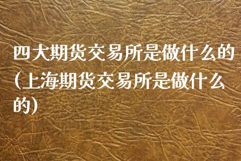 四大期货交易所是做什么的(上海期货交易所是做什么的)_https://www.zztgc.com_期货开户_第1张