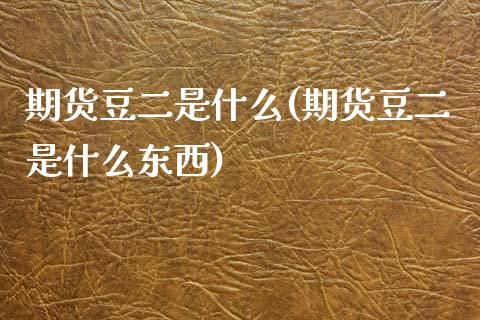 期货豆二是什么(期货豆二是什么东西)_https://www.zztgc.com_期货直播_第1张