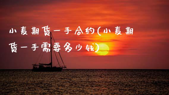 小麦期货一手合约(小麦期货一手需要多少钱)_https://www.zztgc.com_原油期货_第1张