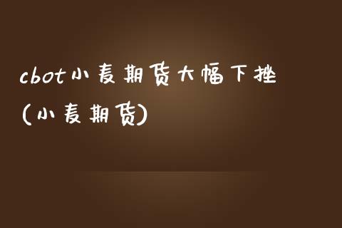 cbot小麦期货大幅下挫(小麦期货)_https://www.zztgc.com_原油期货_第1张