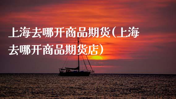 上海去哪开商品期货(上海去哪开商品期货店)_https://www.zztgc.com_原油期货_第1张