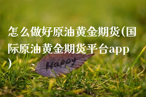 怎么做好原油黄金期货(国际原油黄金期货平台app)_https://www.zztgc.com_期货行情_第1张