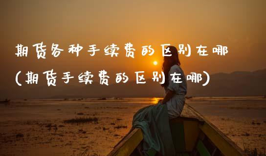 期货各种手续费的区别在哪(期货手续费的区别在哪)_https://www.zztgc.com_期货直播_第1张
