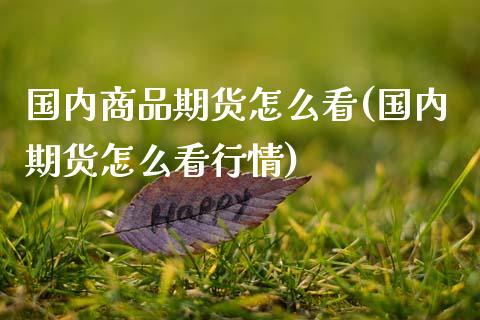 国内商品期货怎么看(国内期货怎么看行情)_https://www.zztgc.com_期货入门_第1张