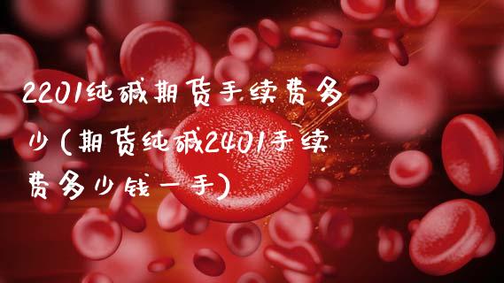 2201纯碱期货手续费多少(期货纯碱2401手续费多少钱一手)_https://www.zztgc.com_期货行情_第1张