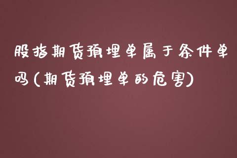股指期货预埋单属于条件单吗(期货预埋单的危害)_https://www.zztgc.com_期货行情_第1张