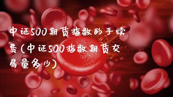 中证500期货指数的手续费(中证500指数期货交易量多少)_https://www.zztgc.com_期货直播_第1张