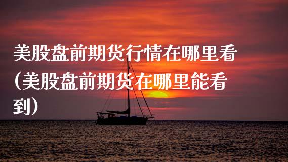 美股盘前期货行情在哪里看(美股盘前期货在哪里能看到)_https://www.zztgc.com_期货开户_第1张
