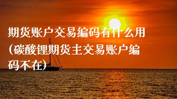 期货账户交易编码有什么用(碳酸锂期货主交易账户编码不在)_https://www.zztgc.com_原油期货_第1张