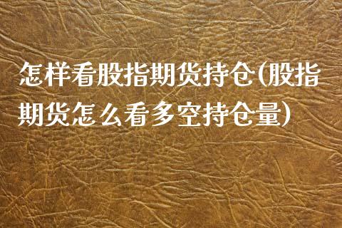 怎样看股指期货持仓(股指期货怎么看多空持仓量)_https://www.zztgc.com_期货行情_第1张