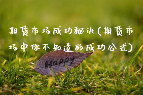 期货市场成功秘诀(期货市场中你不知道的成功公式)_https://www.zztgc.com_期货行情_第1张