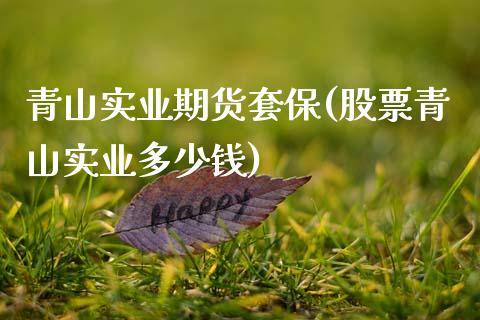 青山实业期货套保(股票青山实业多少钱)_https://www.zztgc.com_黄金期货_第1张