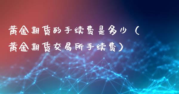 黄金期货的手续费是多少（黄金期货交易所手续费）_https://www.zztgc.com_期货行情_第1张