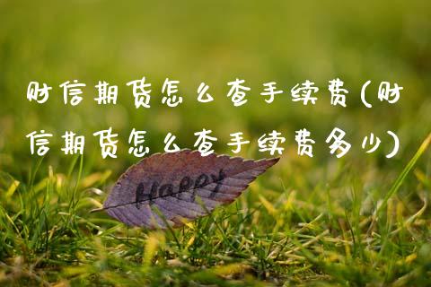 财信期货怎么查手续费(财信期货怎么查手续费多少)_期货行情_第1张_珍投期货网 财信期货怎么查手续费(财信期货怎么查手续费多少)_https://www.zztgc.com_期货行情_第1张