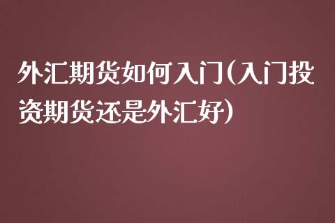 外汇期货如何入门(入门投资期货还是外汇好)_https://www.zztgc.com_原油期货_第1张