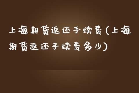 上海期货返还手续费(上海期货返还手续费多少)_https://www.zztgc.com_期货入门_第1张
