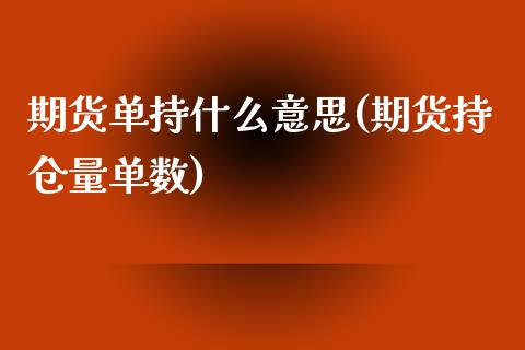 期货单持什么意思(期货持仓量单数)_https://www.zztgc.com_期货直播_第1张
