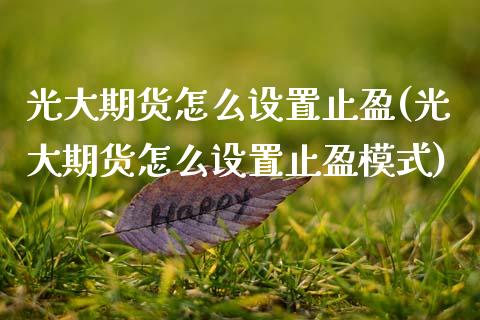 光大期货怎么设置止盈(光大期货怎么设置止盈模式)_https://www.zztgc.com_原油期货_第1张