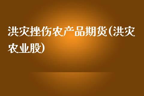洪灾挫伤农产品期货(洪灾农业股)_https://www.zztgc.com_期货开户_第1张