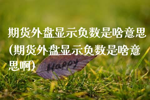期货外盘显示负数是啥意思(期货外盘显示负数是啥意思啊)_https://www.zztgc.com_原油期货_第1张
