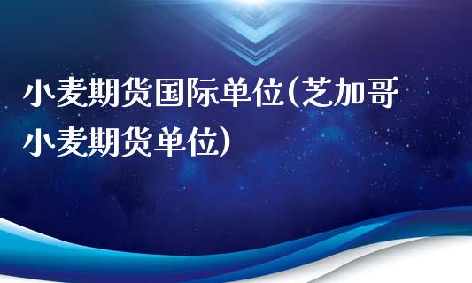 小麦期货国际单位(芝加哥小麦期货单位)_https://www.zztgc.com_期货行情_第1张