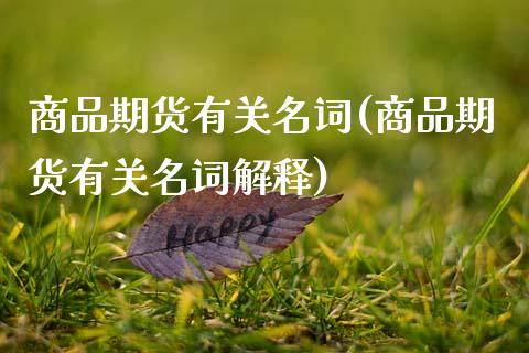 商品期货有关名词(商品期货有关名词解释)_https://www.zztgc.com_原油期货_第1张
