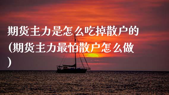 期货主力是怎么吃掉散户的(期货主力最怕散户怎么做)_https://www.zztgc.com_期货开户_第1张