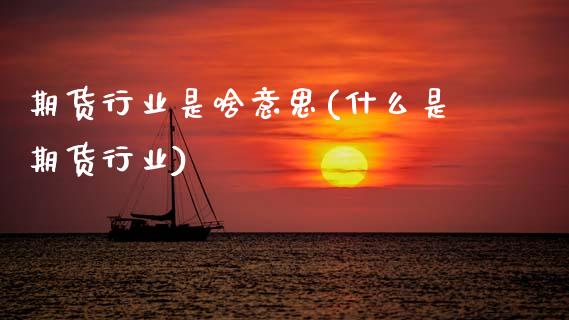 期货行业是啥意思(什么是期货行业)_https://www.zztgc.com_原油期货_第1张