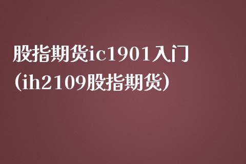股指期货ic1901入门(ih2109股指期货)_https://www.zztgc.com_原油期货_第1张