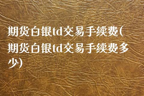 期货白银td交易手续费(期货白银td交易手续费多少)_https://www.zztgc.com_期货行情_第1张