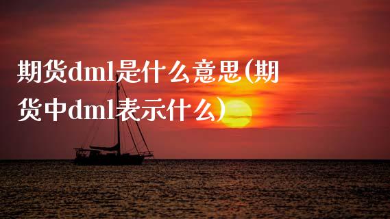 期货dml是什么意思(期货中dml表示什么)_https://www.zztgc.com_期货行情_第1张