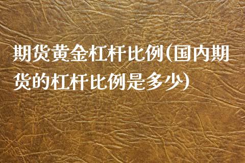 期货黄金杠杆比例(国内期货的杠杆比例是多少)_https://www.zztgc.com_黄金期货_第1张